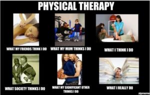 physio meme what my friends think i do