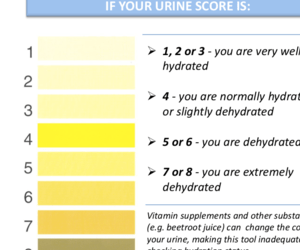 urine score 300x250 1